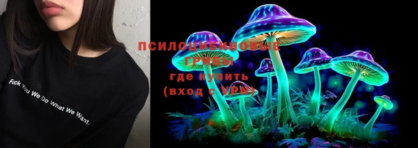 круглые Алзамай