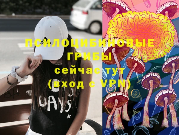 круглые Алзамай